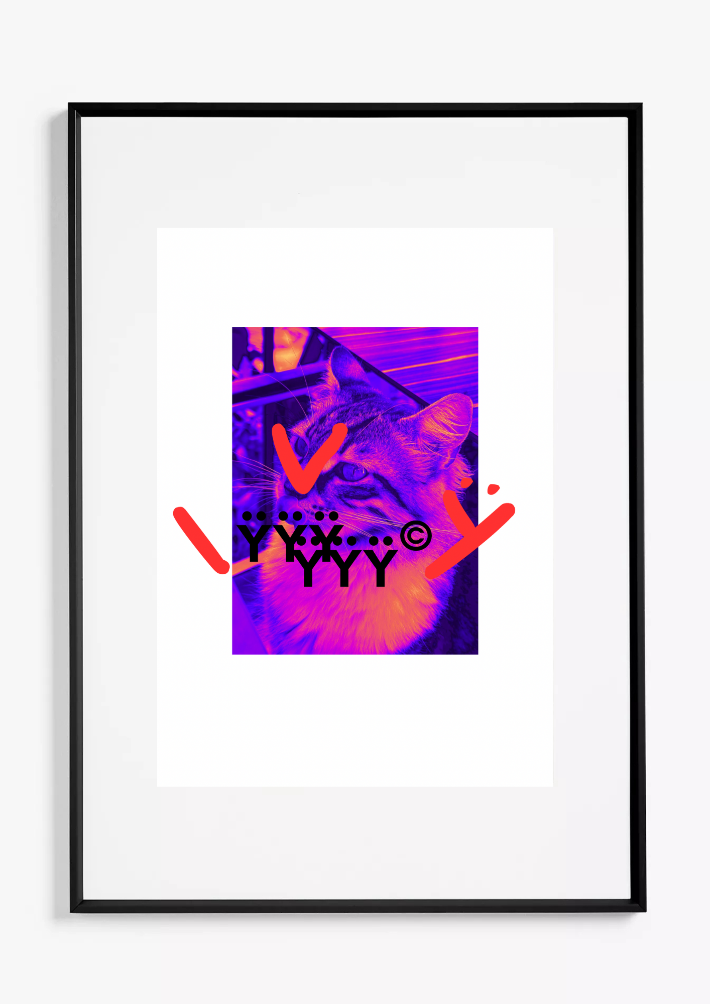 ''IVŸcat''